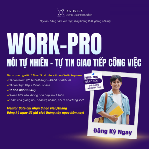 Khóa Học WORK- PRO